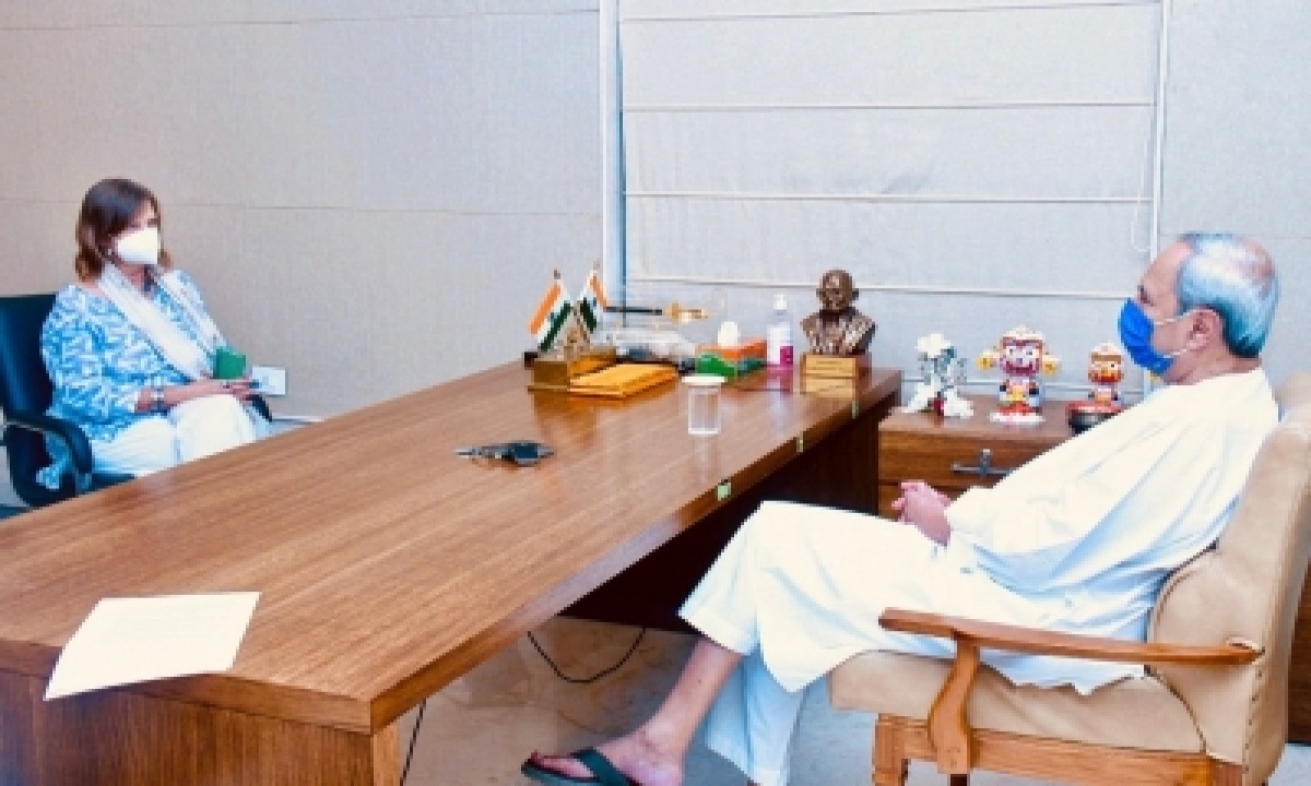  Un Women Country Rep Discusses Woman Empowerment With Odisha Cm-TeluguStop.com