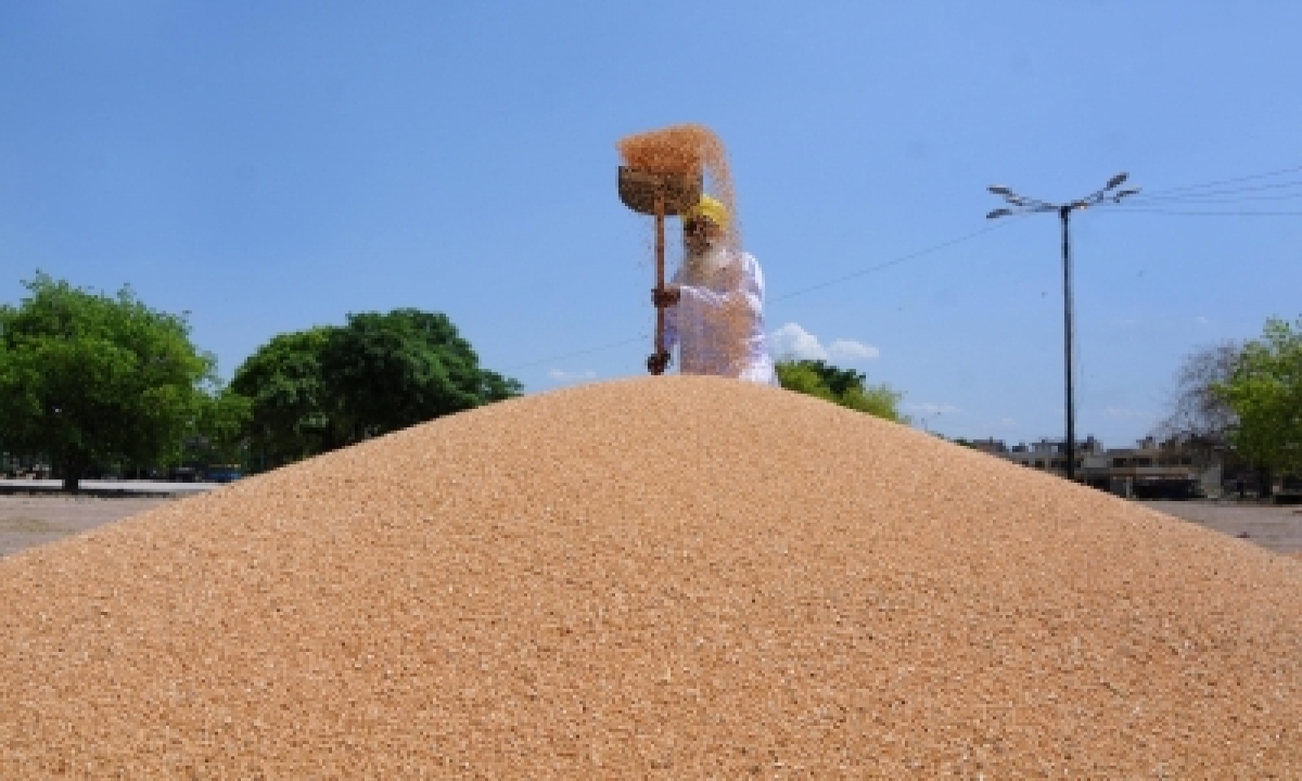  Wheat Procurement In Punjab Begins As ‘arhtiyas’ Call Off Stir-TeluguStop.com