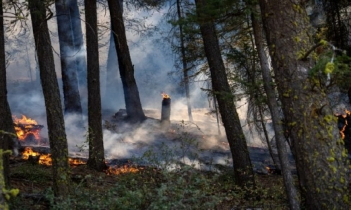  Wildfire In Southern California Triggers Evacuation Orders – Internatio-TeluguStop.com