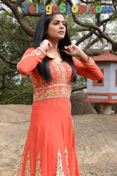 Priyamani new stills- Photos,Spicy Hot Pics,Images,High Resolution WallPapers Download