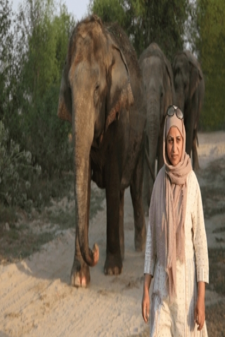 Aliya Mir: A life in service of wild animals - Aliya, Animals, Delhi,  Heritage, Jammu, Srinagar, Wild |