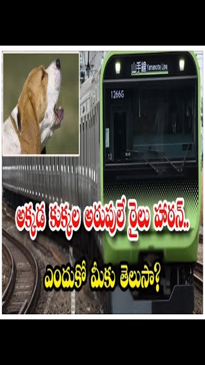 Why Japanese Trains Have sounds of Barking Dog as Horns Dog Barking Trains  in Japan Telugu | Why Japanese Trains Have Sounds Of Barking Dog As Horns  Dog Barking Trains In Japan