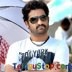  Wrong Step By Ntr ?-TeluguStop.com