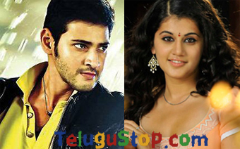  Tapsee Got Chance In Aagudu ?-TeluguStop.com