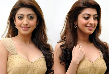  Pranitha Latest Stills-TeluguStop.com