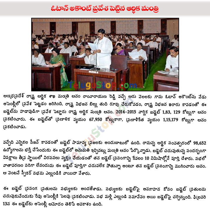Finance Minister Presented Andhra Pradesh Vote-on Account Budget - 