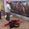  Prabhas Stops Bali But Fans Did Goat ‘bali’-TeluguStop.com