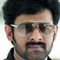 Prabhas Scolds Uv Creations Producers ?-TeluguStop.com