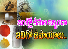  Simple Ways To Get Rid Of Ants In Home-TeluguStop.com