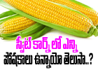  Sweet Corn Nutrition Facts And Health Benefits-TeluguStop.com