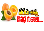  Apricot Health  Benefits-TeluguStop.com