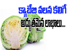  Healthy Benefits Of Cabbage-TeluguStop.com
