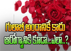  Health Benefits Of Rose Flower-TeluguStop.com