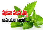  Healthy Benefits Of Mint-TeluguStop.com