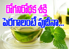  Pudina ( Mint) Leaves Health Benefits-TeluguStop.com
