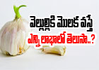  Garlic Sprout Health Benefits-TeluguStop.com