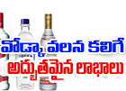  Surprising Advantages Of Vodka-TeluguStop.com