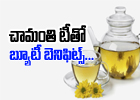  Beauty Benefits Of Chamanthi Flower Tea-TeluguStop.com