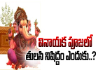  Why Tulsi Is Not Offered To Lord Ganesha-TeluguStop.com