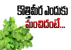  Healthy Benefits Of Coriander Leaves-TeluguStop.com