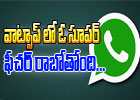  Whatsapp To Introduce 6 Digit Password?-TeluguStop.com