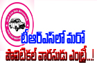  Another Political Heir Entry In Trs ..!-TeluguStop.com