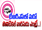 Another Political Heir Entry In Trs ..! Another Political Heir Entry In Trs ..!-TeluguStop.com