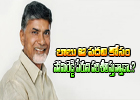  Babu Is Considering Somireddy Name For That Post ?-TeluguStop.com