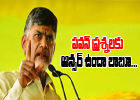  Pawan Questions Ap Cm Chandrabbu-TeluguStop.com