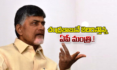  Minister Warning To Cm Chandrababu-TeluguStop.com