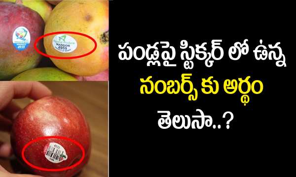  What Is The Secret Behind Labels On Fruits?-TeluguStop.com