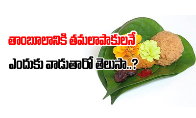  The Significance Of Thamboolam Betel Leafs-TeluguStop.com