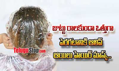  How To Use Olive Oil For Hair Growth-TeluguStop.com