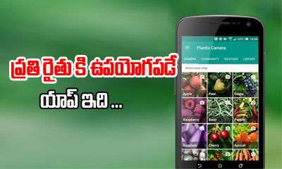  Plantix – A Must Have App For All Farmers For Their Needs And Doubts-TeluguStop.com