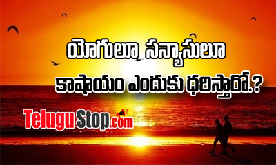  Why Do Yogi’s And  Munis Wear Saffron?-TeluguStop.com