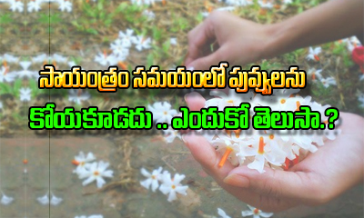  Why Is It Advised Not To Pluck Flowers In The Evening?-TeluguStop.com