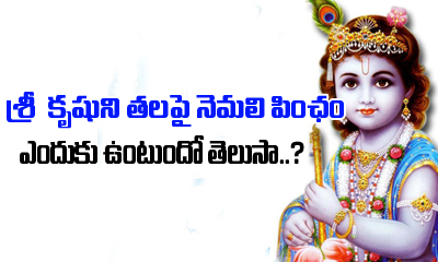  Why Lord Krishna Wears Peacock Feather On His Head-TeluguStop.com