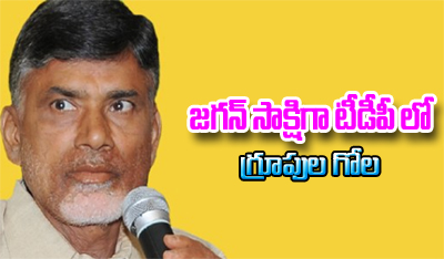  Group Politics In Kadapa Tdp-TeluguStop.com