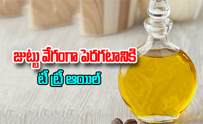  Tea Tree Oil For Hair Grow-TeluguStop.com