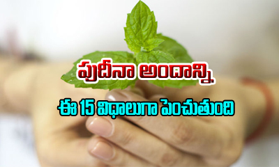  15 Beauty Benefits Of Mint Leaves-TeluguStop.com