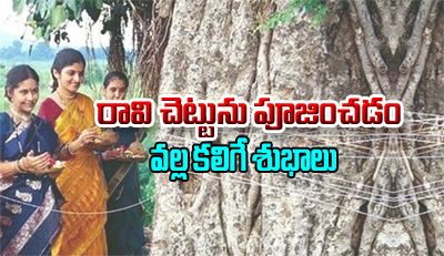  Reasons To Pray The Peepal Tree-TeluguStop.com