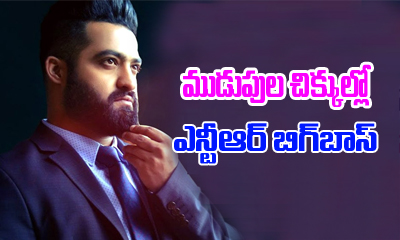  Shocking Remuneration For Ntr Bigg Boss Participants-TeluguStop.com