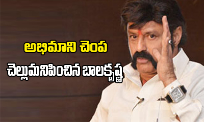  Balakrishna Slaps His Fan In Nandyal-TeluguStop.com