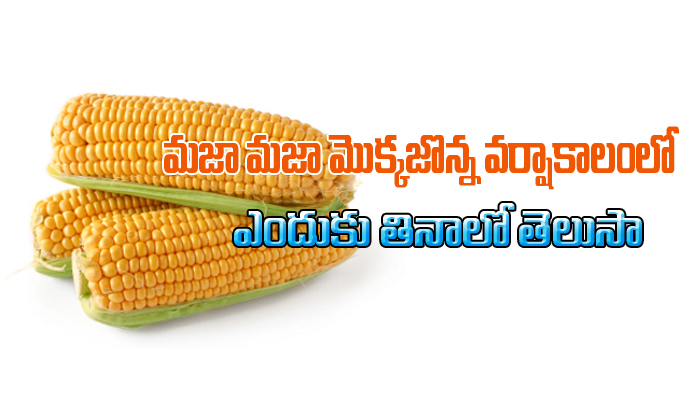  Sweet Corn, Winter Season, Vitamin C, Corn Health Benefits-TeluguStop.com