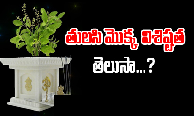  Importance Of Tulasi-TeluguStop.com