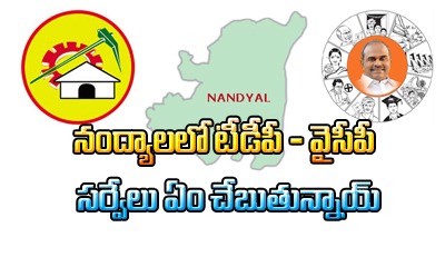 Tdp And Ysrcp Survey On Nandyal By Election-TeluguStop.com