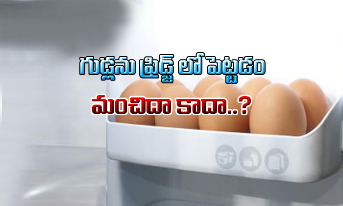  Placing Eggs In Refrigerator Is Good Or Bad?-TeluguStop.com