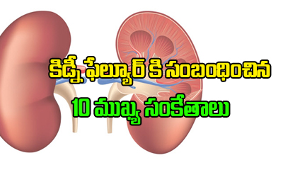  10 Important Signs Of Kidney Failure-TeluguStop.com
