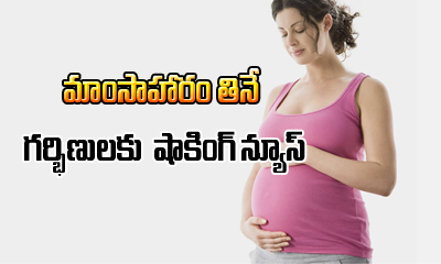  Eating Non-veg Dangerous For Pregnant Women’s-TeluguStop.com