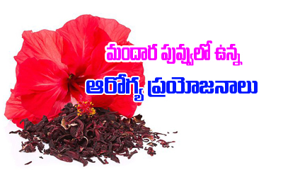  Health Benefits Of Hibiscus Flower-TeluguStop.com